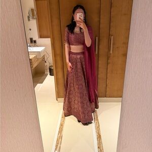 Elegant Legengas - Classic Indian Crop Top and Skirt